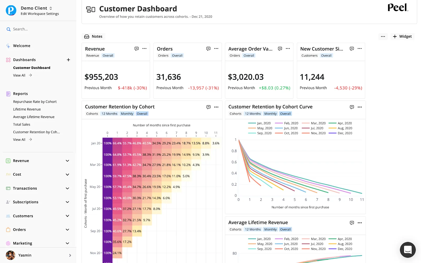 Peel Insights customer dashboard showing revenue, orders, average order value, and retention cohorts