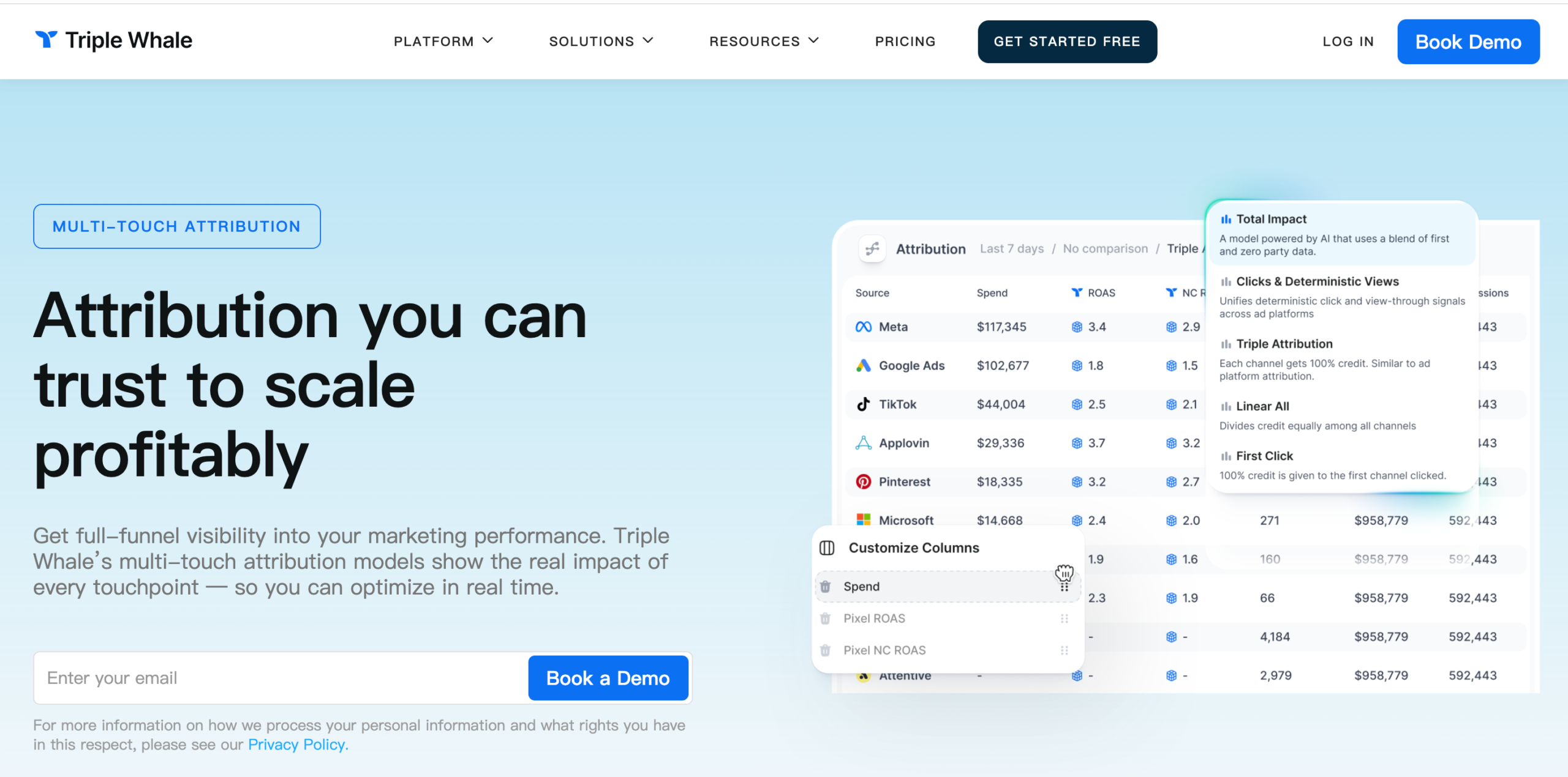 Triple Whale ecommerce analytics overview showing revenue, ad spend, and profitability