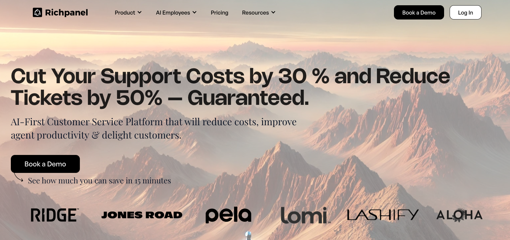 Richpanel website presenting its ecommerce customer support platform